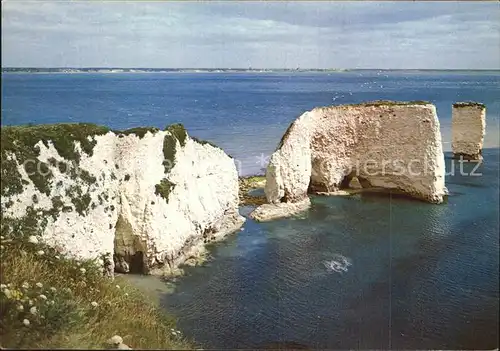 Studland Old Harry Rocks Kat. Isle of Purbeck