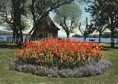 Mammern Parkanlagen Schloss Tulpenbeet Kapelle Uferpromenade Bodensee Kat. Mammern