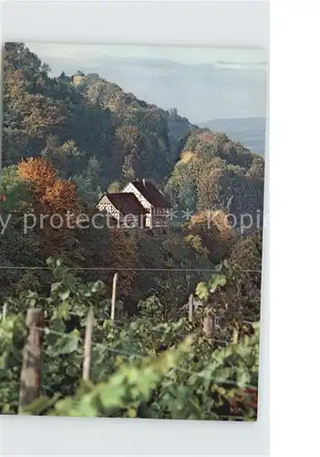 Salenstein TG Blick auf Hinterburg Kat. Salenstein