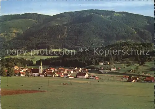 Neukirchen Teisenberg Panorama Kat. Teisendorf