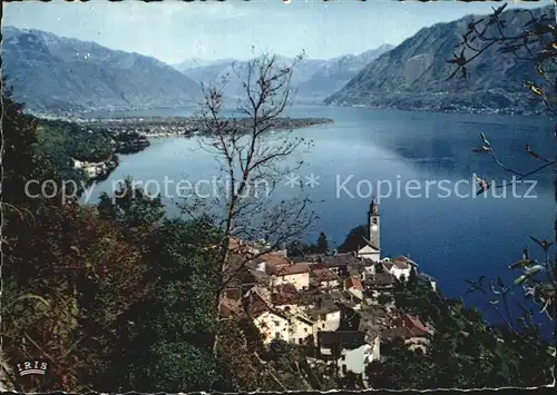 Ronco sopra Ascona Panorama