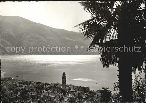 Ascona Lago Maggiore Panorama