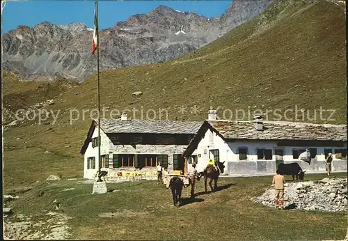 Cogne  Rifugio V. Sella