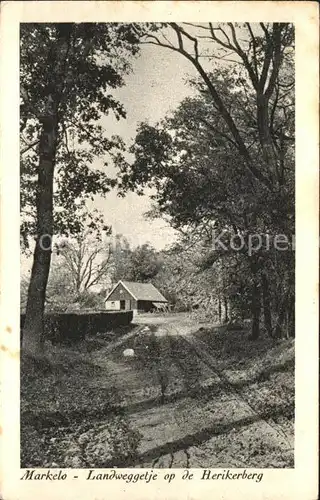 Markelo Landweggetje Herikerberg