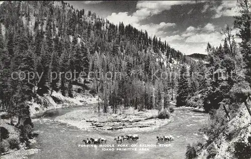 Idaho US State Salmon River 