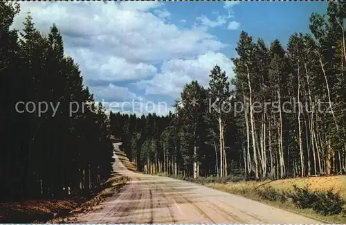 Arizona US State Kaibab National Forest