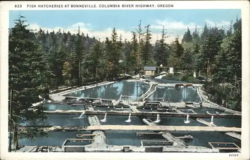 Bonnville Oregon Government Fish Hatcheries