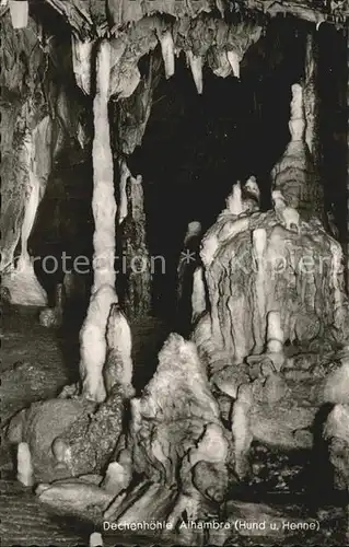 Hoehlen Caves Grottes Dechenhoehle Alhambra Hund und Henne Kat. Berge