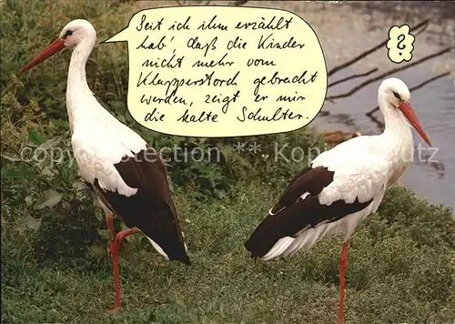 Storch Humor Kat. Tiere