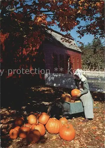 Landwirtschaft Pumpkins Freeman Farm Old Sturbridge Village Kuerbis  Kat. Landwirtschaft