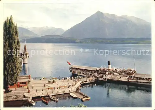 Dampfer Seitenrad DS Bubenberg Thunersee Berner Oberland  Kat. Schiffe