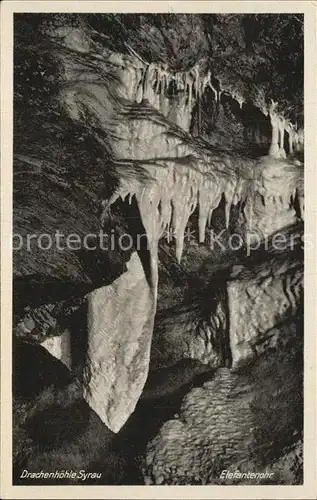 Hoehlen Caves Grottes Drachenhoehle Syrau Elefantenohr  Kat. Berge