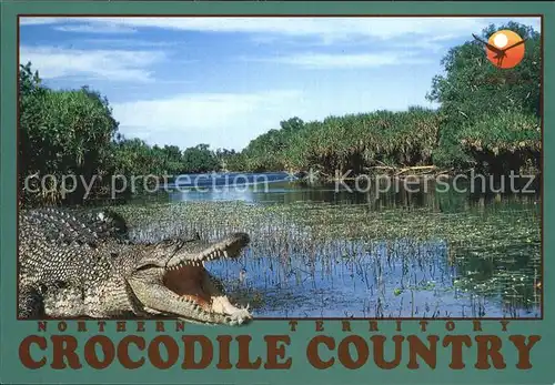 Krokodile Northern Territory Australia Kat. Tiere