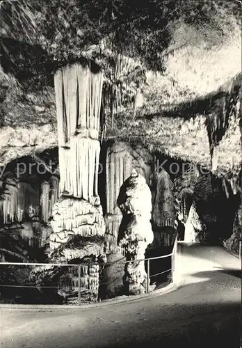 Hoehlen Caves Grottes Postojnska Jama Slowenien  Kat. Berge