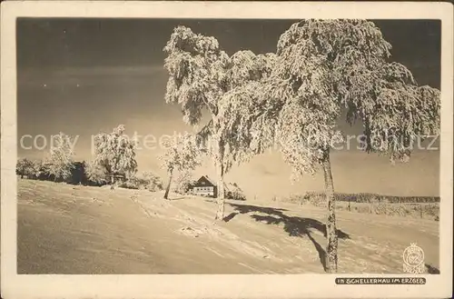 Foto Hahn Nr. 6129 Schellerhau Erzgebirge  Kat. Fotografie