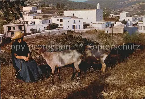 Ziege San Jose Ibiza  Kat. Tiere