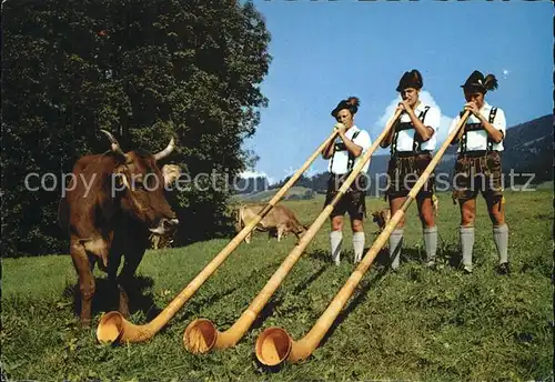 Alphorn Alphornblaeser Kuh  Kat. Musik