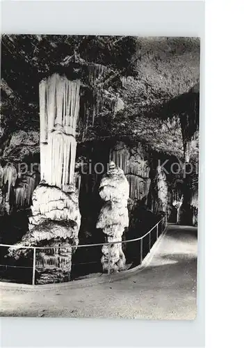 Hoehlen Caves Grottes Postojnska Jama  Kat. Berge