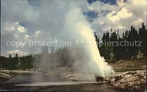 Geysire Vulcans Geysers Vulkane Riverside Geyser Yellowstone Park  Kat. Natur