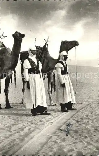 Kamele El Oues Meharistes sur le depart Kat. Tiere