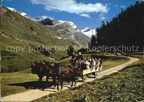 Pferde Pferde Ausflugs Omnibus Sils Fextal  Kat. Tiere