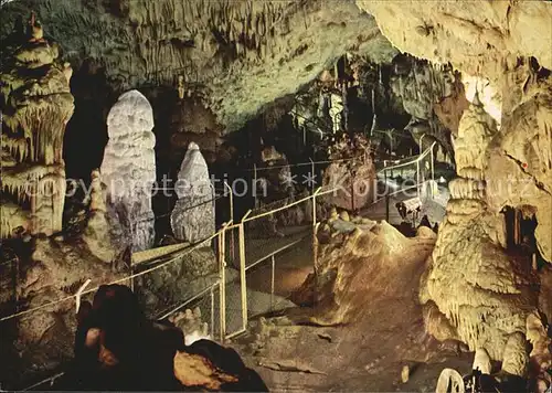 Hoehlen Caves Grottes Baerenhoehle Karlshoehle Erpfingen Kat. Berge