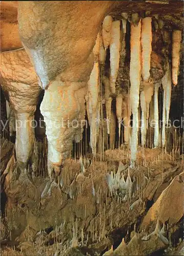 Hoehlen Caves Grottes Moravsky Kras Punkva Hoehle Maerchendom Kat. Berge