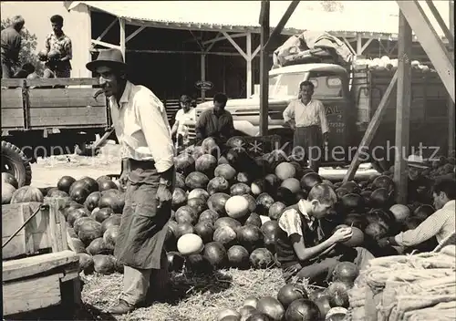 Obst Melonen Istanbul  Kat. Lebensmittel