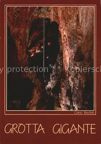 Hoehlen Caves Grottes Grotta Gigante Trieste Opicina Kat. Berge