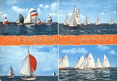 Segelboote Regatta Kat. Schiffe