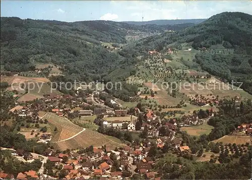 Sasbachwalden Fliegeraufnahme Blumen  und Weindorf Kat. Sasbachwalden