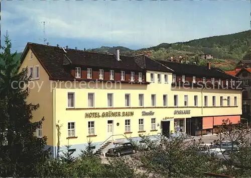 Buehlertal Hotel Restaurant Gruener Baum  Kat. Buehlertal