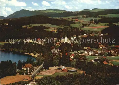 Titisee Panorama Schwarzwald Kat. Titisee Neustadt