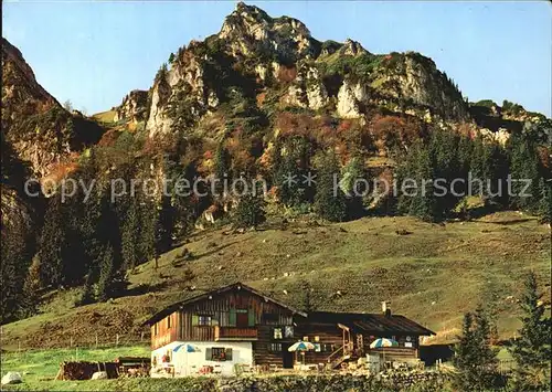 Bruendlingalm mit Hochfelln Kat. Bruendling Alm