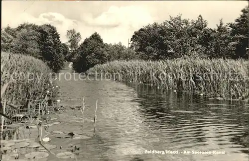 Feldberg Mecklenburg Seerosen Kanal Kat. Feldberger Seenlandschaft