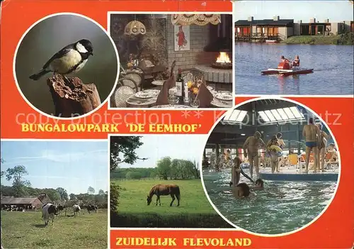 Zuidelijk Bungalowpark de Eemhof Schwimmhallse