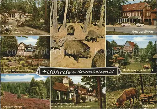 Goehrde Schloss Restaurant Cafe Pension Wildhaus Kreuzer Berge Schwarzwild Heimvolkshochschule Hote zur Goehrde Waldpension Schoenblick Rothirsch Kat. Goehrde