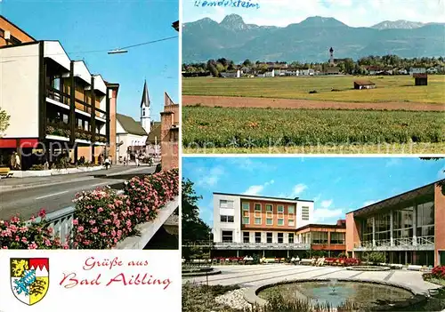 Bad Aibling Strassenpartie Panorama mit Wendelstein Brunnen Kat. Bad Aibling