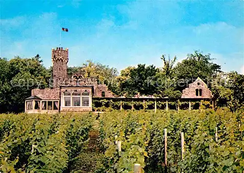 Johannisberg Rheingau Burg Schwarzenstein Gutsschaenke Kat. Geisenheim