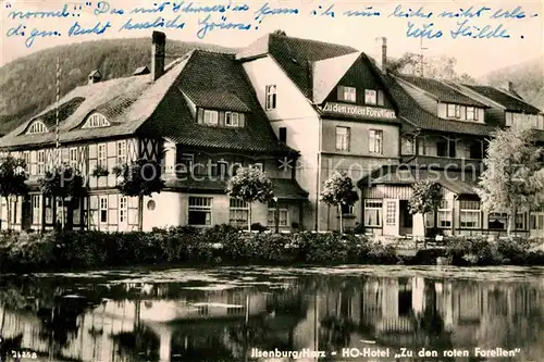 Ilsenburg Harz HO Hotel Zu den roten Forellen Kat. Ilsenburg Harz