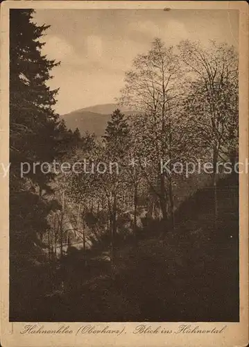 Hahnenklee Bockswiese Harz Huehnertal Kat. Goslar