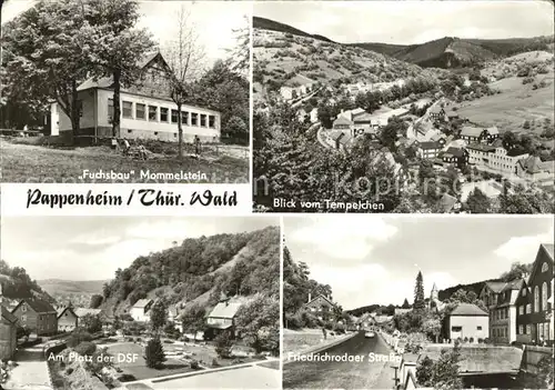 Pappenheim Thueringen Fuchsbau Mommelstein Tempelchen Platz der DSF Friedrichrodaer Strasse Kat. Floh Seligenthal