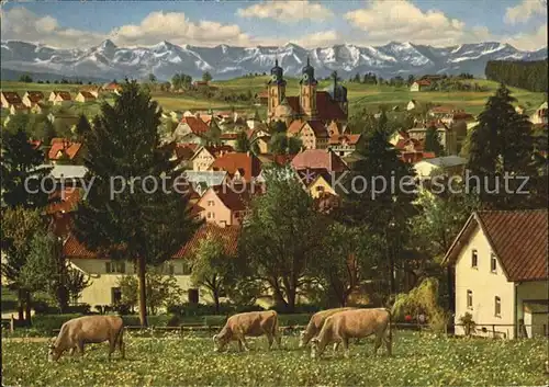 Lindenberg Allgaeu Ortsansicht mit Kirche Hoehenluftkurort Alpenkette Kuehe Kat. Lindenberg i.Allgaeu