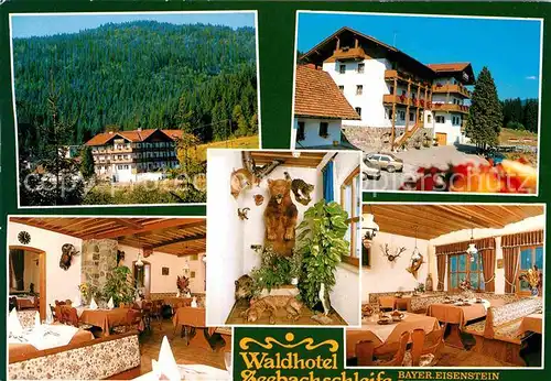 Bayerisch Eisenstein Waldhotel Seebachschleife Gastraeume Kat. Bayerisch Eisenstein