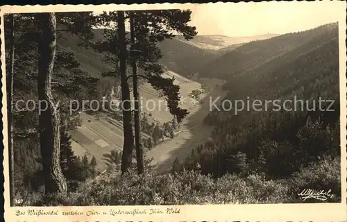 Weissbach Stadtroda Blick ins Weissbachtal Kat. Weissbach Stadtroda