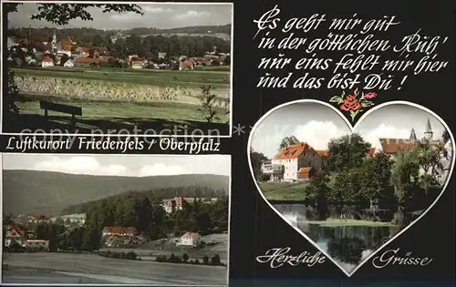 Friedenfels Ortsblick Teilansichten Kat. Friedenfels