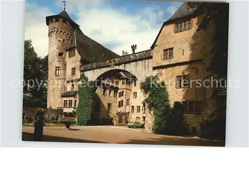 Michelstadt Schloss Fuerstenau Kat. Michelstadt