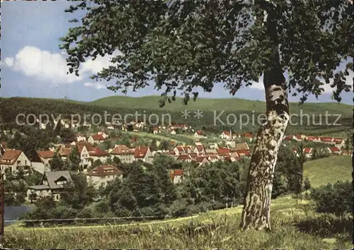 Bad Sachsa Harz Panorama vom Knickberg Kat. Bad Sachsa