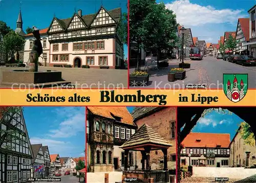 Blomberg Lippe Rathaus Hauptstrasse Burghof  Kat. Blomberg