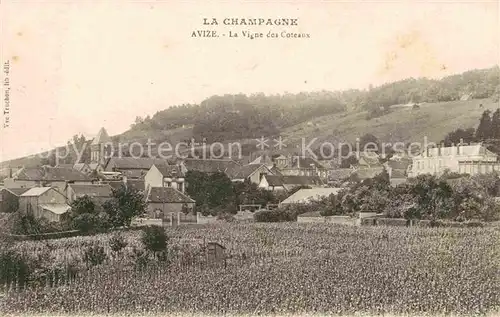 Avize La Vigne des Coteaux Kat. Avize